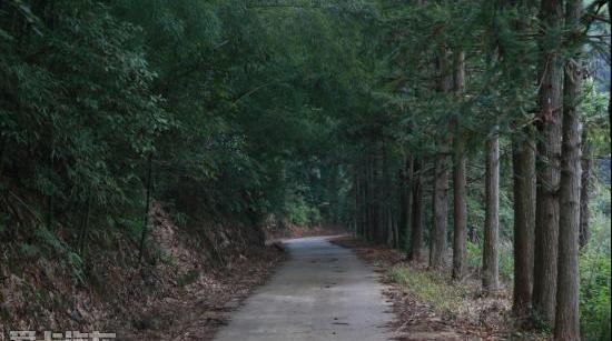 马自达,一汽,勇士,马自达CX-4