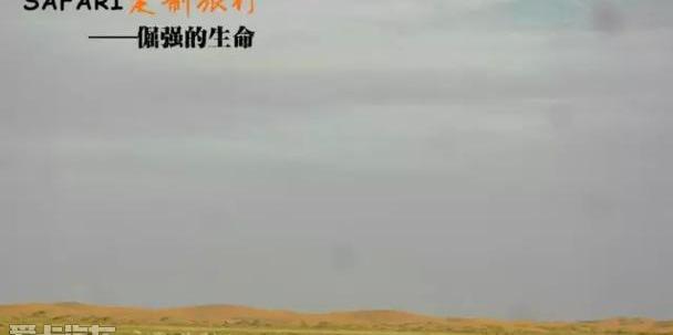 Jeep,长城,牧马人,勇士,曼
