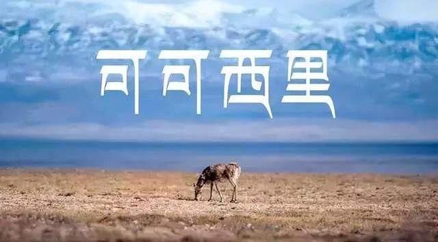 北京,BJ212,北京汽车,世纪,奔腾