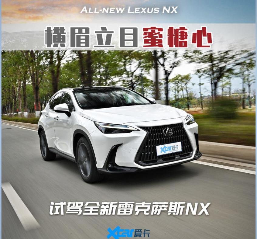 雷克萨斯,丰田,雷克萨斯NX,世纪,理念