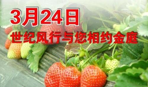 世纪,御风,理念