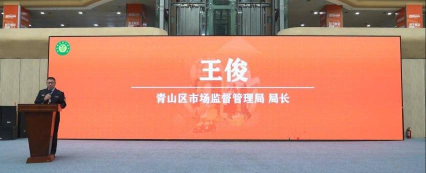 汉,比亚迪,东风,埃安,奔驰
