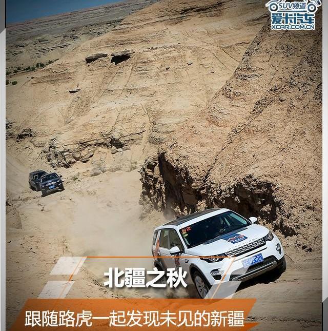 发现,路虎,骆驼