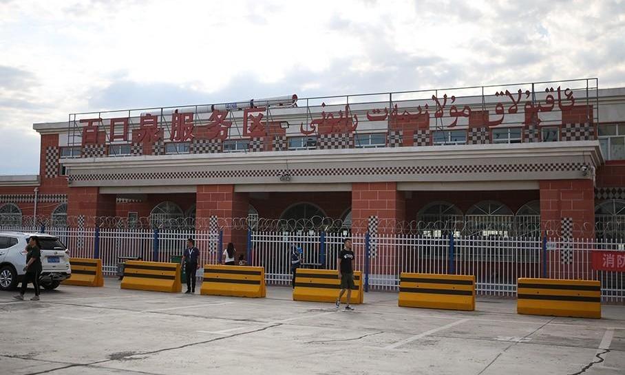 发现,路虎,骆驼