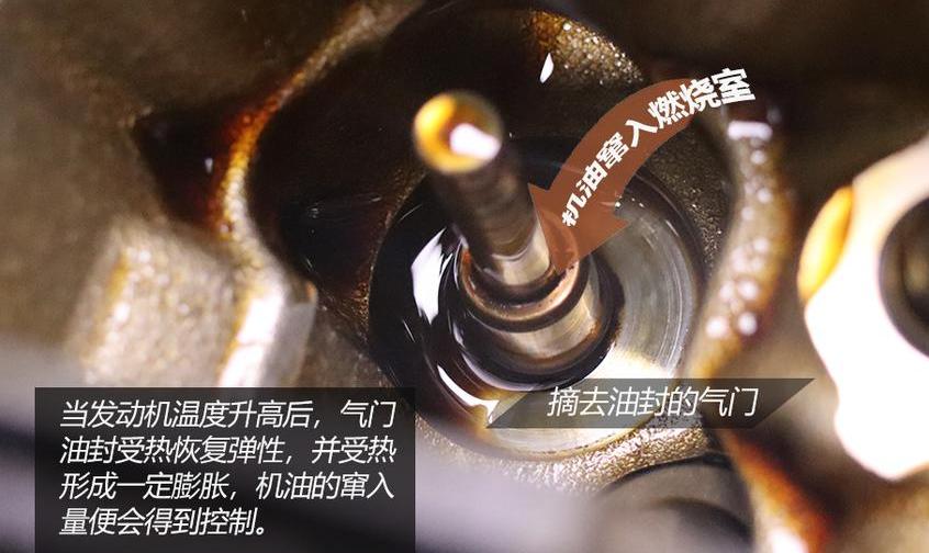 宝马,世纪,理念,发现,宝马3系