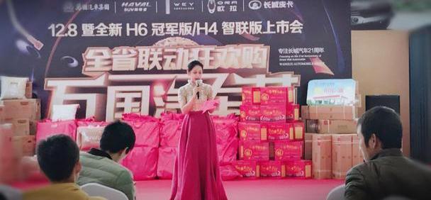 哈弗,长城,远程,世纪,DS
