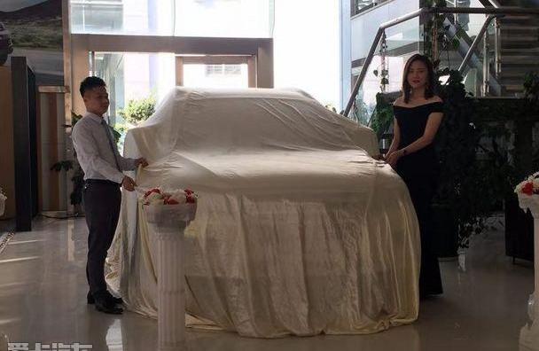 哈弗,哈弗H6,哈弗M6,世纪