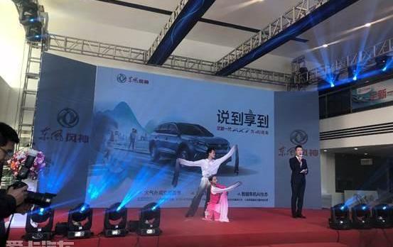 东风,东风风神,世纪,标致,标致408