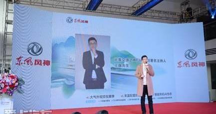 东风,东风风神,世纪,标致,标致408