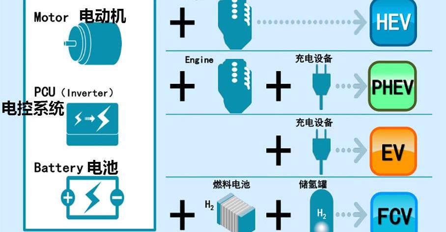 丰田,世纪,发现