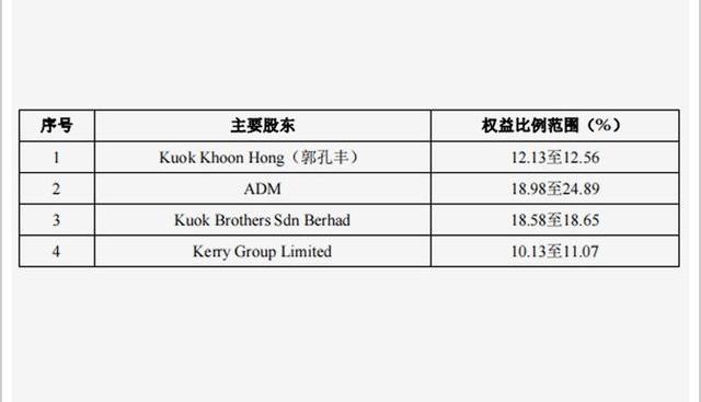 世纪,金龙,发现,现代