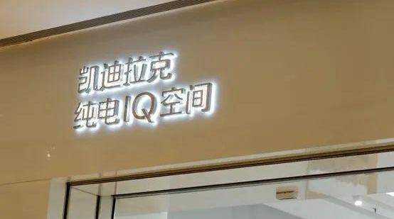 凯迪拉克,理念,发现,世纪,特斯拉