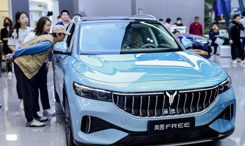 岚图汽车,理念,现代,世纪,东风