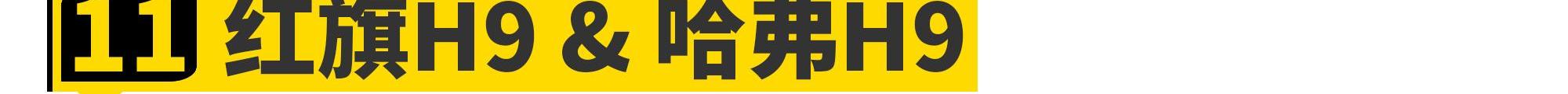 世纪,丰田,红旗,哈弗,红旗H5