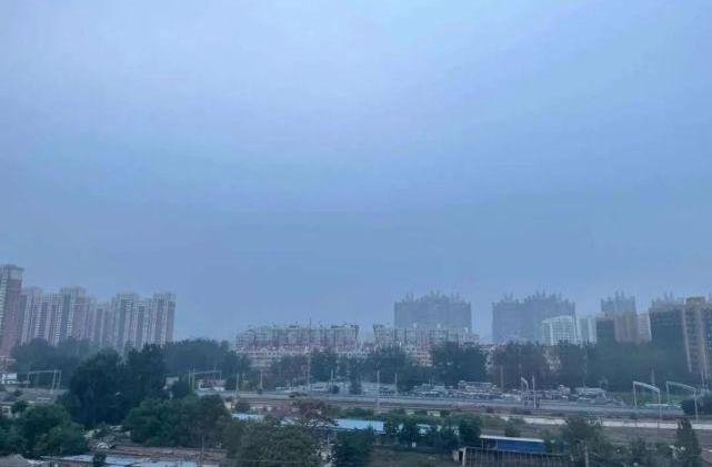 北京,特斯拉,比亚迪,世纪,奇瑞