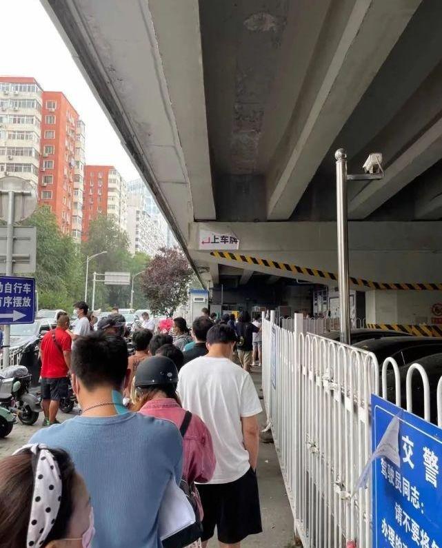北京,特斯拉,比亚迪,世纪,奇瑞