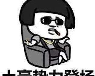 奥迪,奔驰,宝马,北京,骆驼
