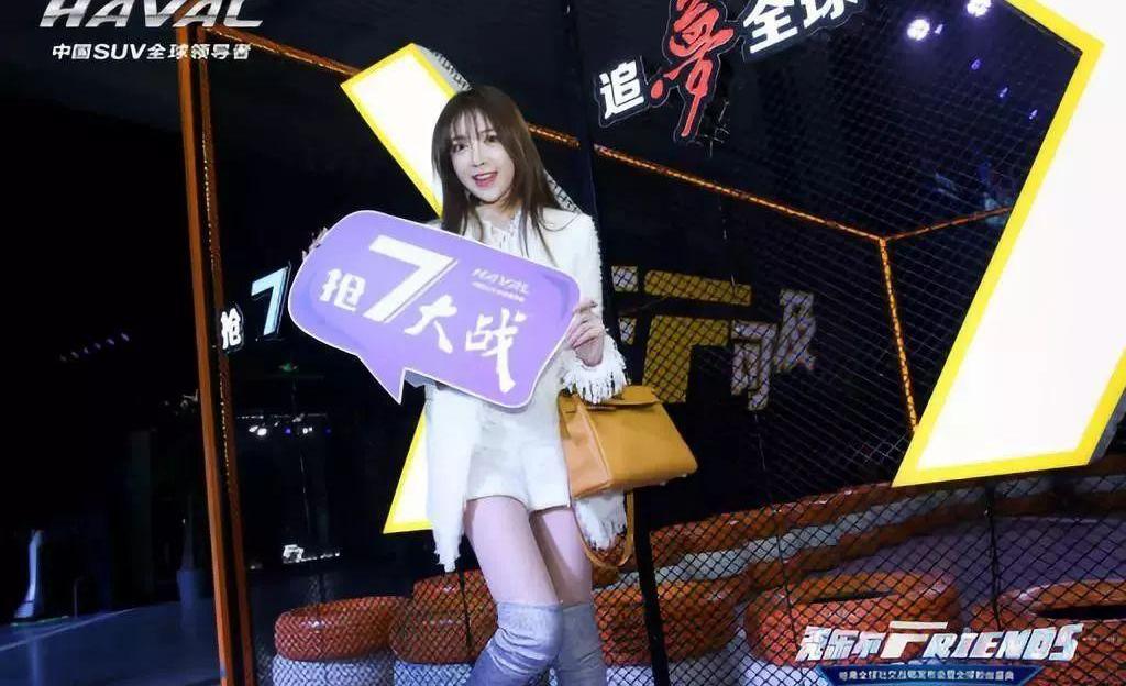 哈弗,保时捷,理念,奇骏,皓影