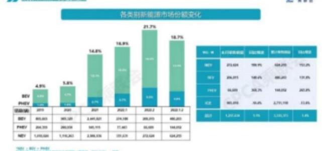 别克,小鹏,大众,奥迪,奥迪Q2L