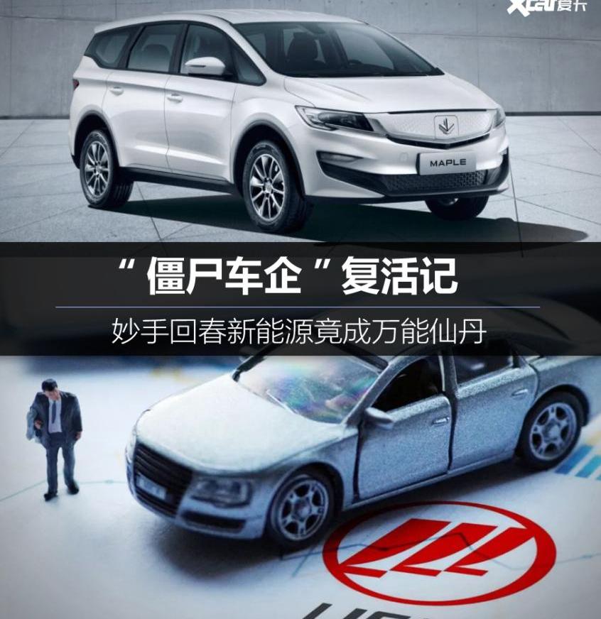 海马,众泰,东南,奇瑞,北汽瑞翔