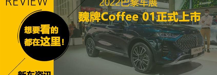 比亚迪,欧拉,魏牌,汉,奔驰