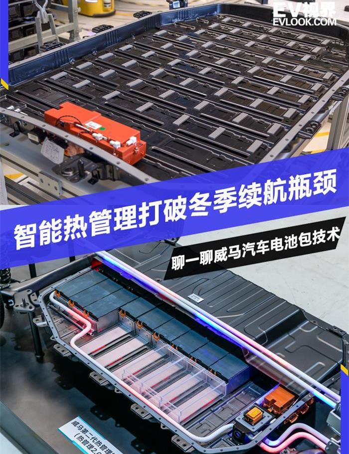 威马汽车,威马EX5