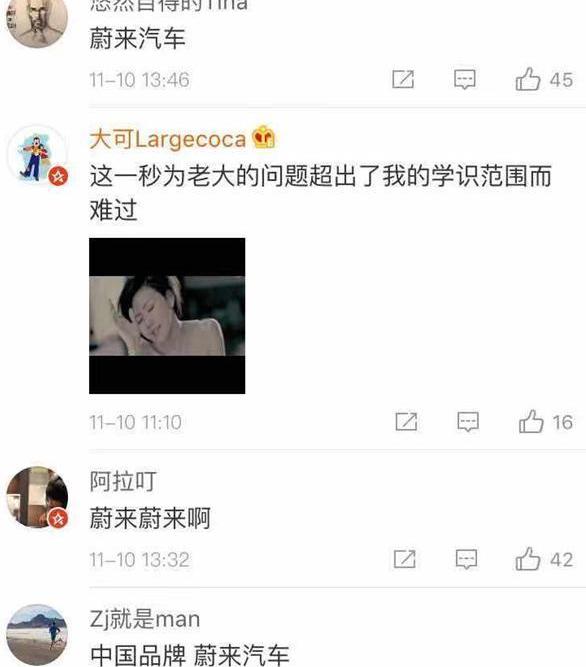 特斯拉,东风,日产,蔚来,轩逸