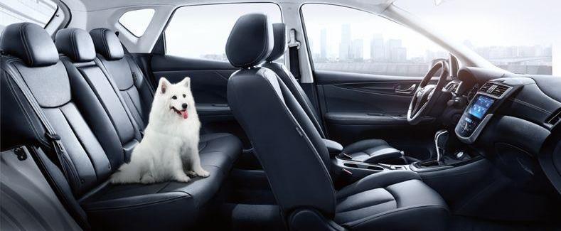 骐达,福克斯,优越,日产,大众