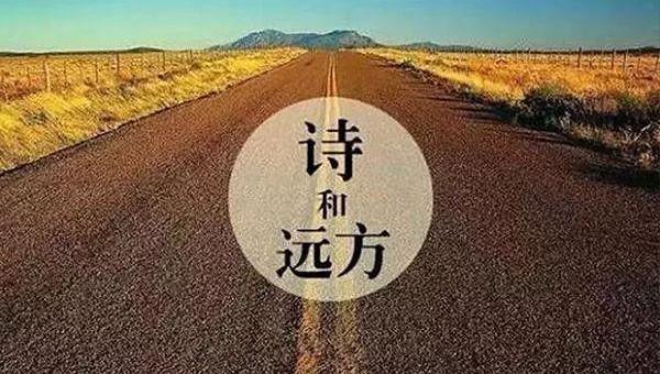 悦纳,标致,福睿斯,威驰,桑塔纳