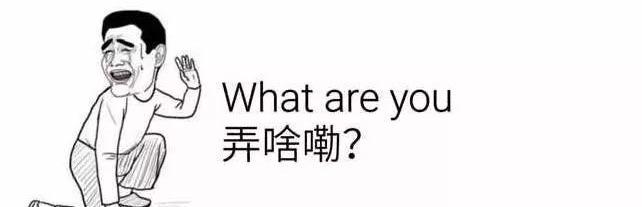 悦纳,标致,福睿斯,威驰,桑塔纳