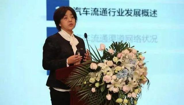 理念,大众,发现,一汽,宝马