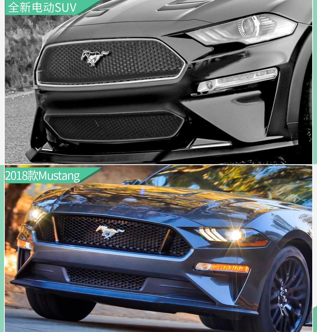 Mustang,福特,福克斯,特斯拉,Model Y