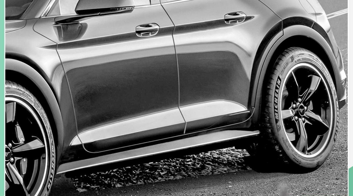 Mustang,福特,福克斯,特斯拉,Model Y