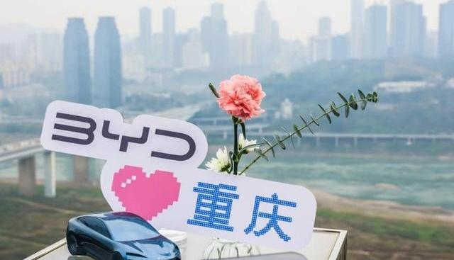 比亚迪,海豹,比亚迪e6,元PLUS,海豚