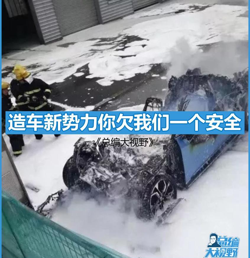 奔驰,沃尔沃,特斯拉,比亚迪,世纪