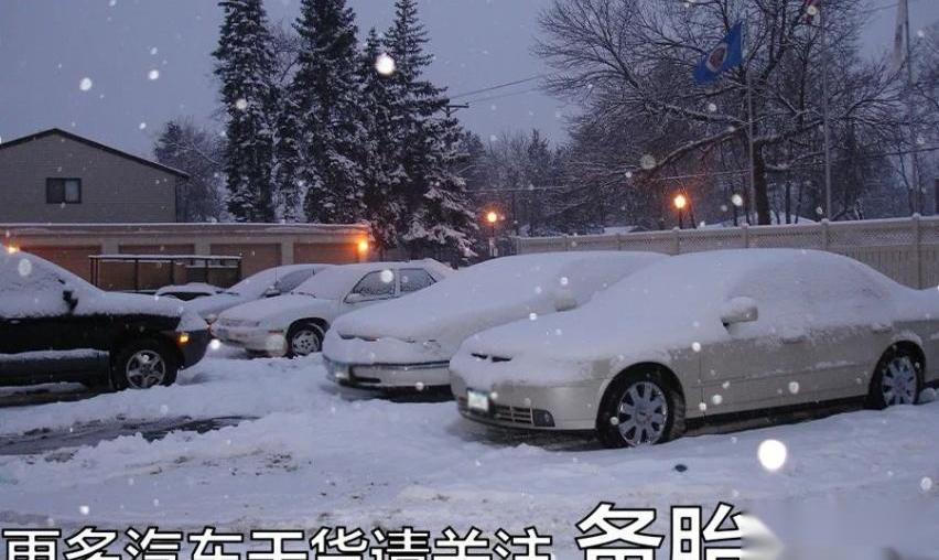 比亚迪,长安,东风,比亚迪e6,纳米BOX