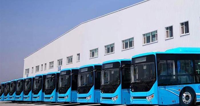 金龙,比亚迪,中通客车,安凯客车,宇通客车