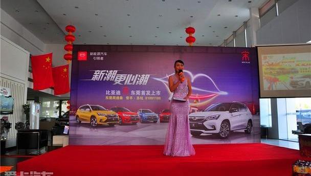 比亚迪,奥迪,现代