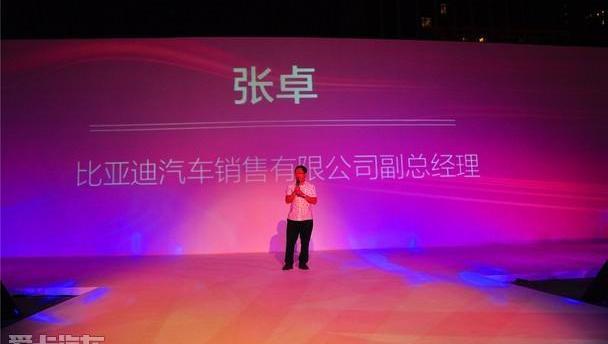 比亚迪,奥迪,路虎,现代