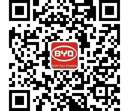 比亚迪,东风,日产,长安,福特