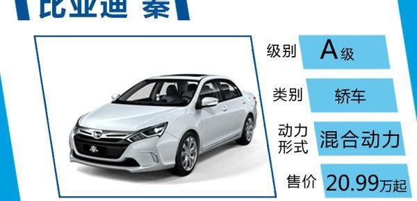 比亚迪,发现