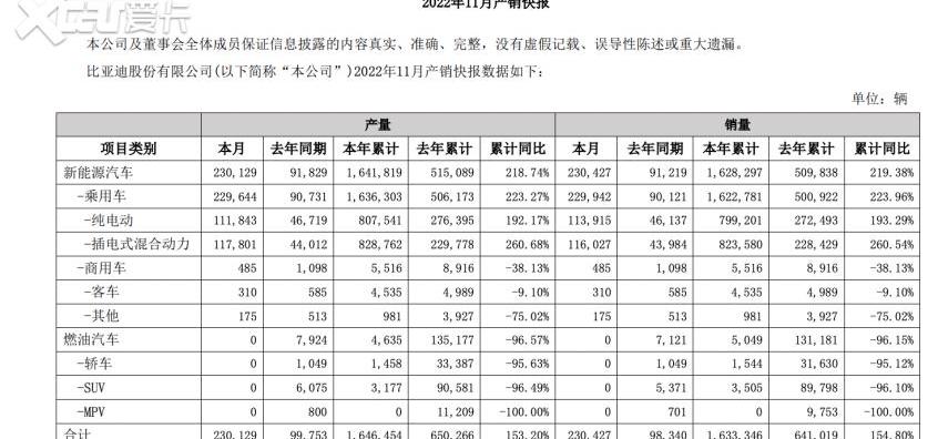 比亚迪,仰望