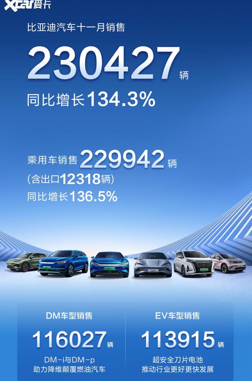 比亚迪,仰望