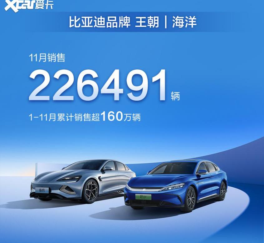 比亚迪,仰望