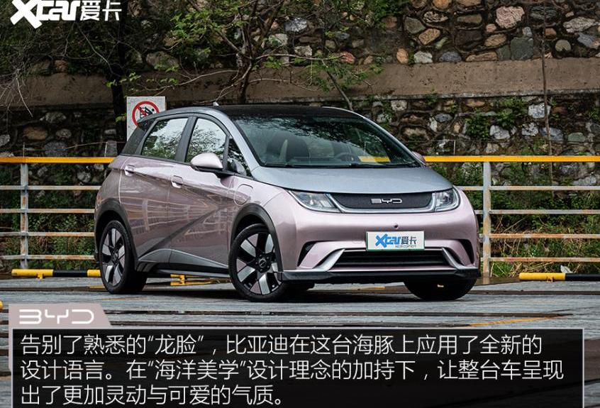 海豚,比亚迪,MINI,特斯拉,宏光MINIEV
