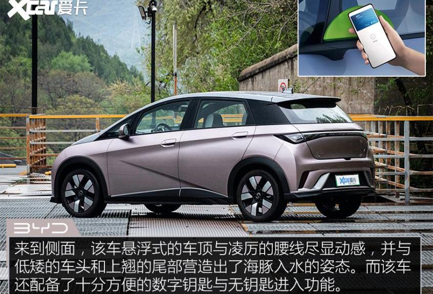 海豚,比亚迪,MINI,特斯拉,宏光MINIEV