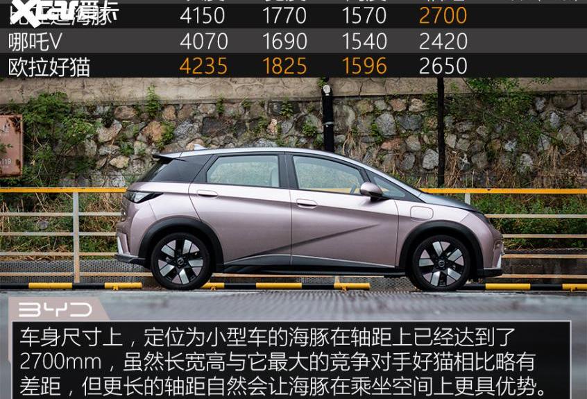 海豚,比亚迪,MINI,特斯拉,宏光MINIEV
