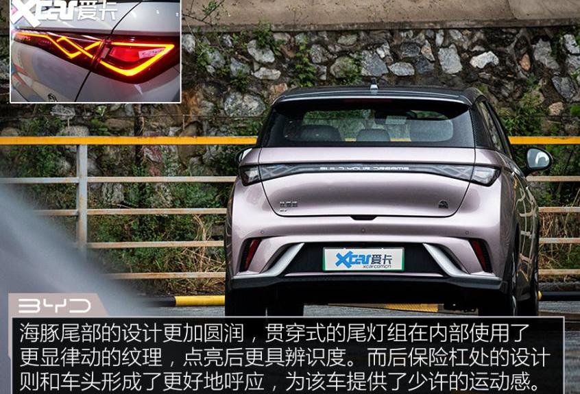 海豚,比亚迪,MINI,特斯拉,宏光MINIEV