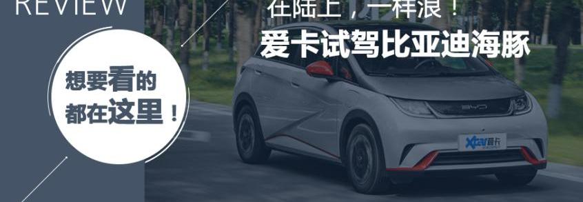 比亚迪,海豚