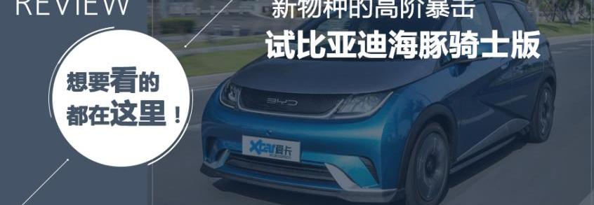 比亚迪,海豚
